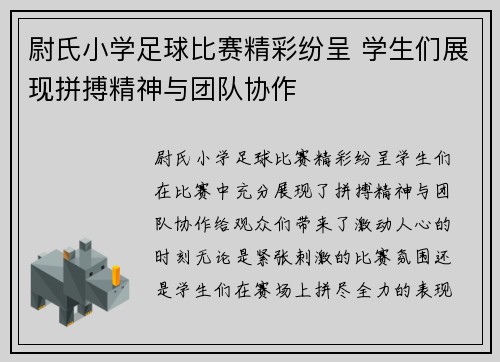 尉氏小学足球比赛精彩纷呈 学生们展现拼搏精神与团队协作