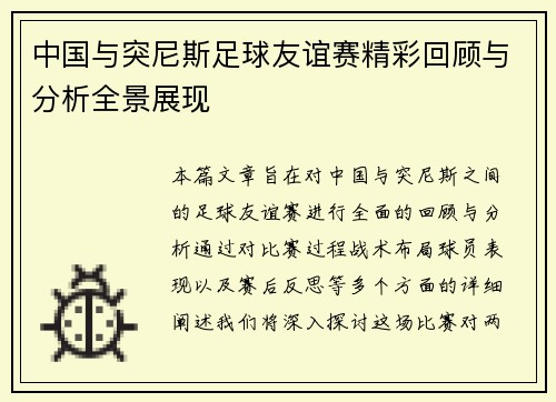 中国与突尼斯足球友谊赛精彩回顾与分析全景展现