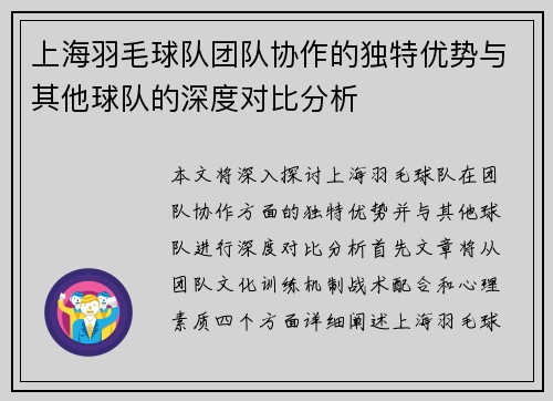 上海羽毛球队团队协作的独特优势与其他球队的深度对比分析