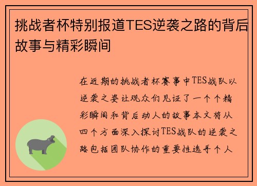 挑战者杯特别报道TES逆袭之路的背后故事与精彩瞬间